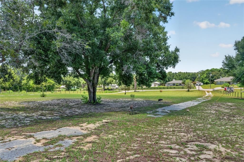 For Sale: $760,000 (4 beds, 3 baths, 3160 Square Feet)