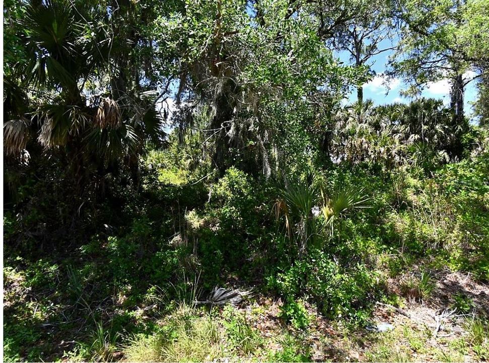 На продажу: $40,000 (0.23 acres)