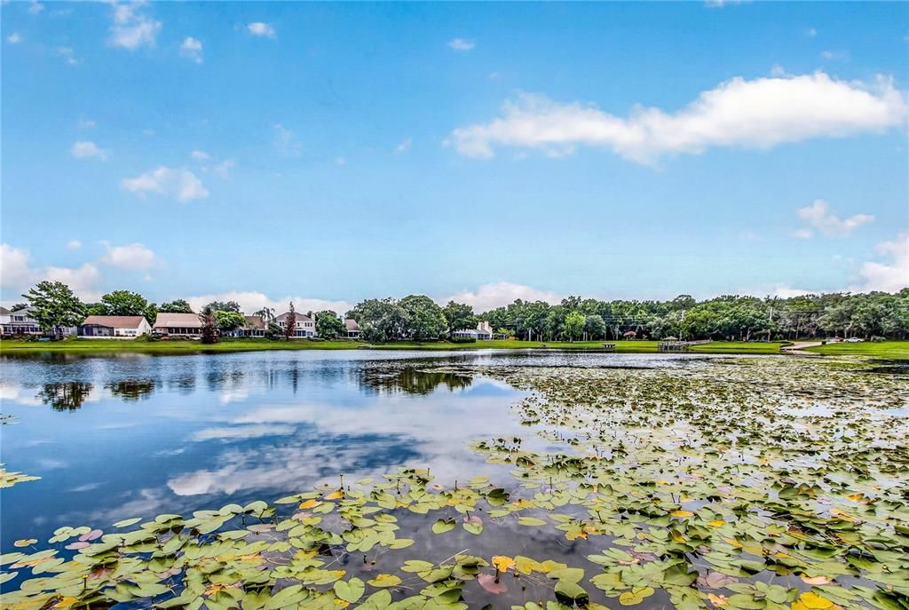 Active With Contract: $125,000 (1 beds, 1 baths, 648 Square Feet)