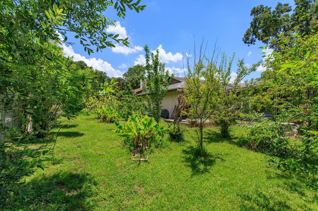 For Sale: $499,900 (4 beds, 2 baths, 1974 Square Feet)