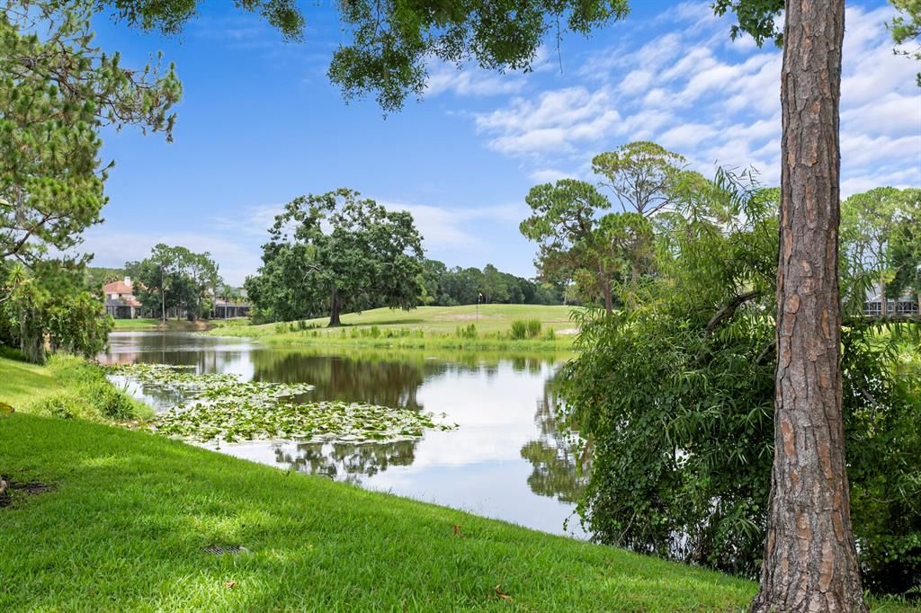 For Sale: $1,250,000 (4 beds, 3 baths, 3634 Square Feet)