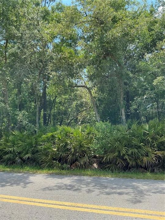 待售: $25,000 (0.22 acres)