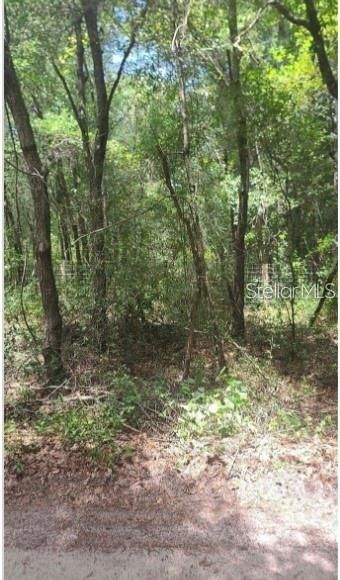 待售: $35,000 (1.25 acres)