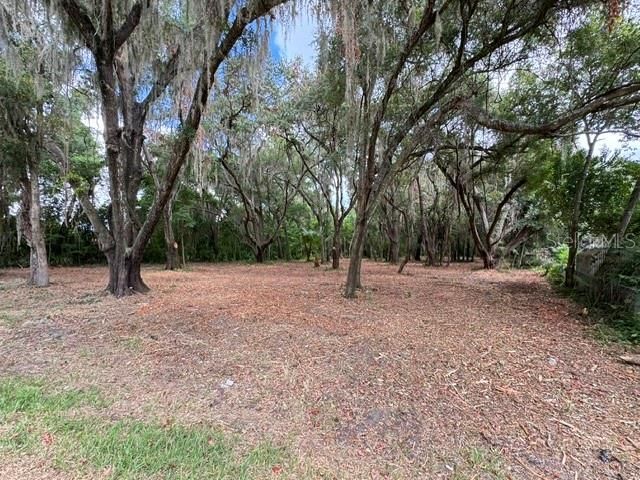 For Sale: $150,000 (1.20 acres)