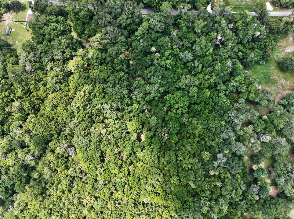 待售: $199,000 (9.50 acres)