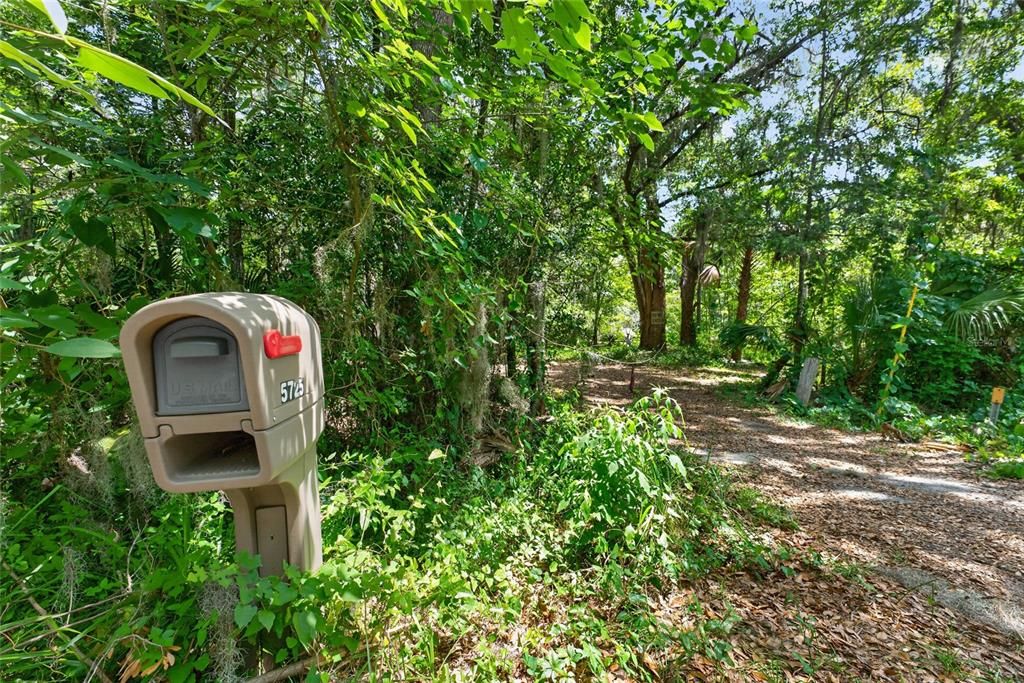 待售: $199,000 (9.50 acres)