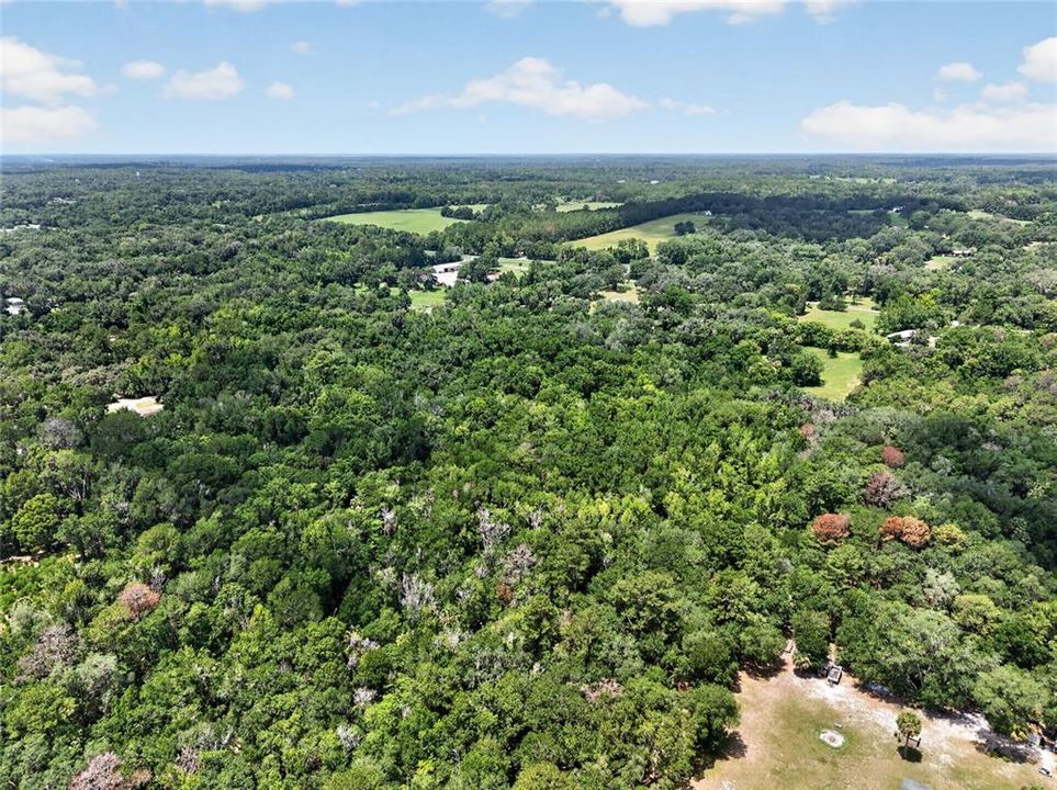 待售: $199,000 (9.50 acres)