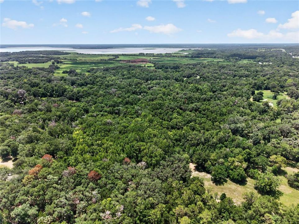 待售: $199,000 (9.50 acres)