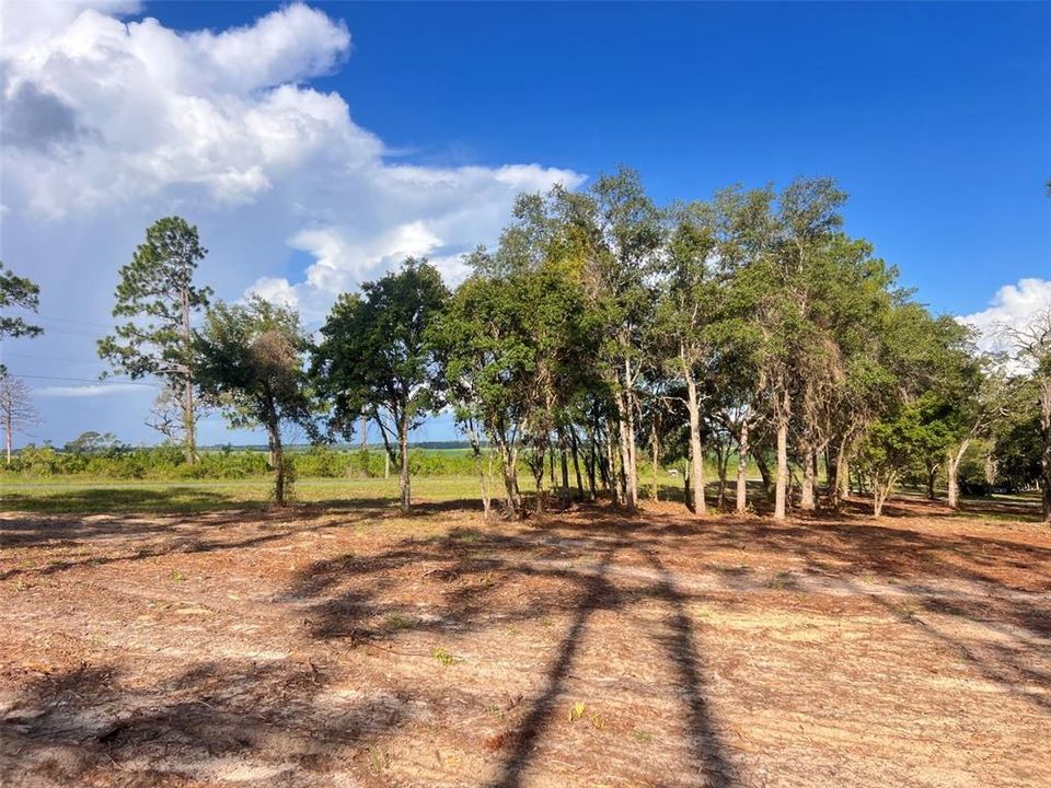 待售: $82,500 (2.00 acres)