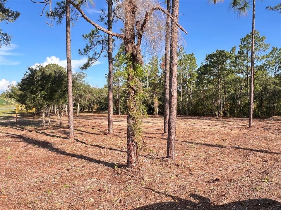 待售: $82,500 (2.00 acres)