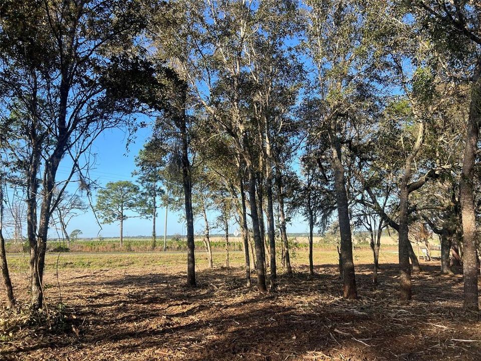 待售: $82,500 (2.00 acres)