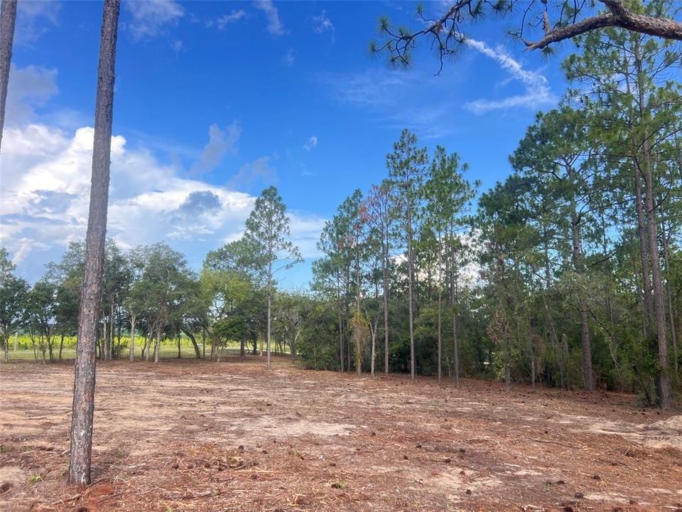 待售: $82,500 (2.00 acres)