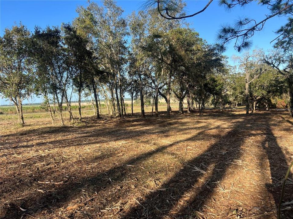 待售: $82,500 (2.00 acres)