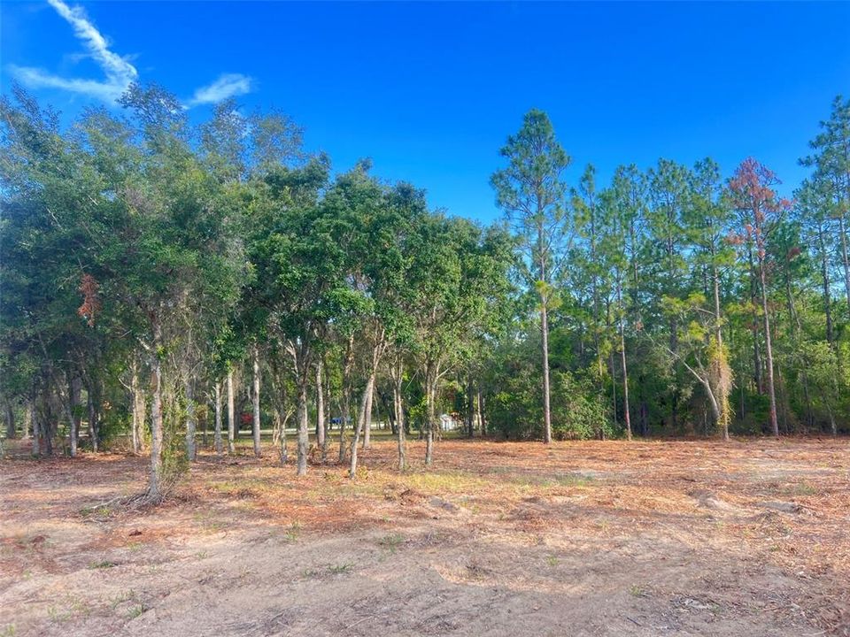 待售: $82,500 (2.00 acres)