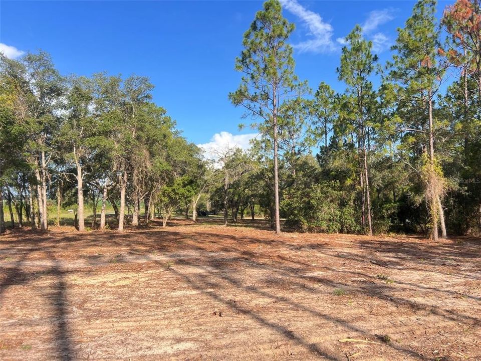 待售: $82,500 (2.00 acres)
