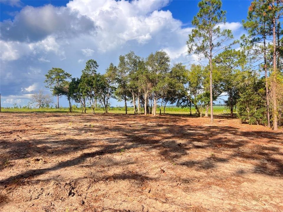待售: $82,500 (2.00 acres)