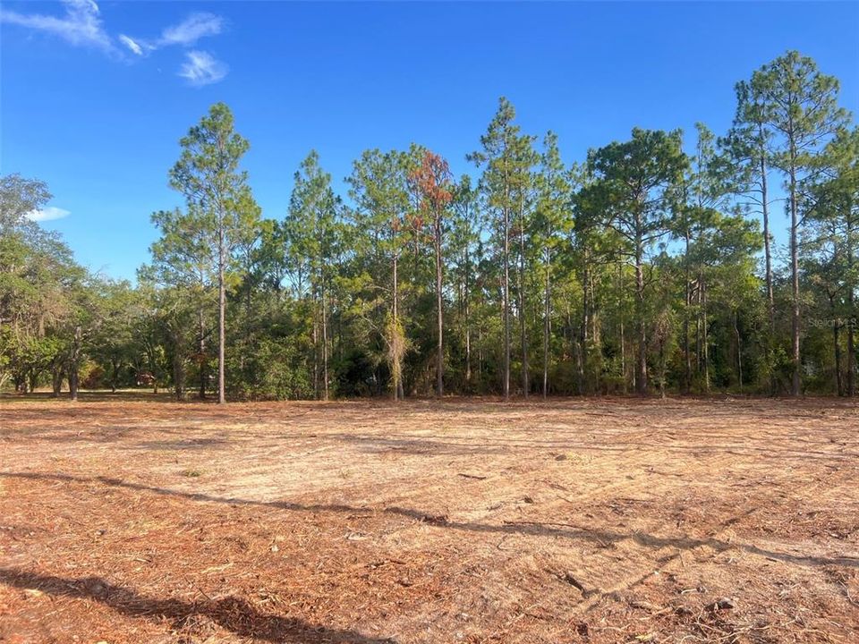 待售: $82,500 (2.00 acres)