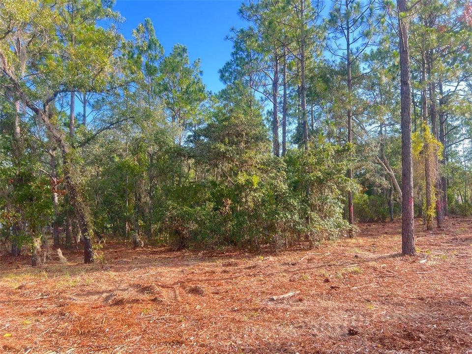 待售: $82,500 (2.00 acres)