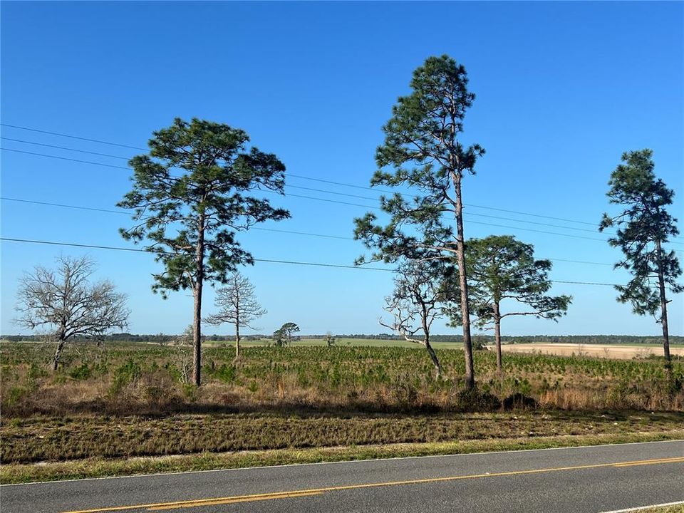 待售: $82,500 (2.00 acres)