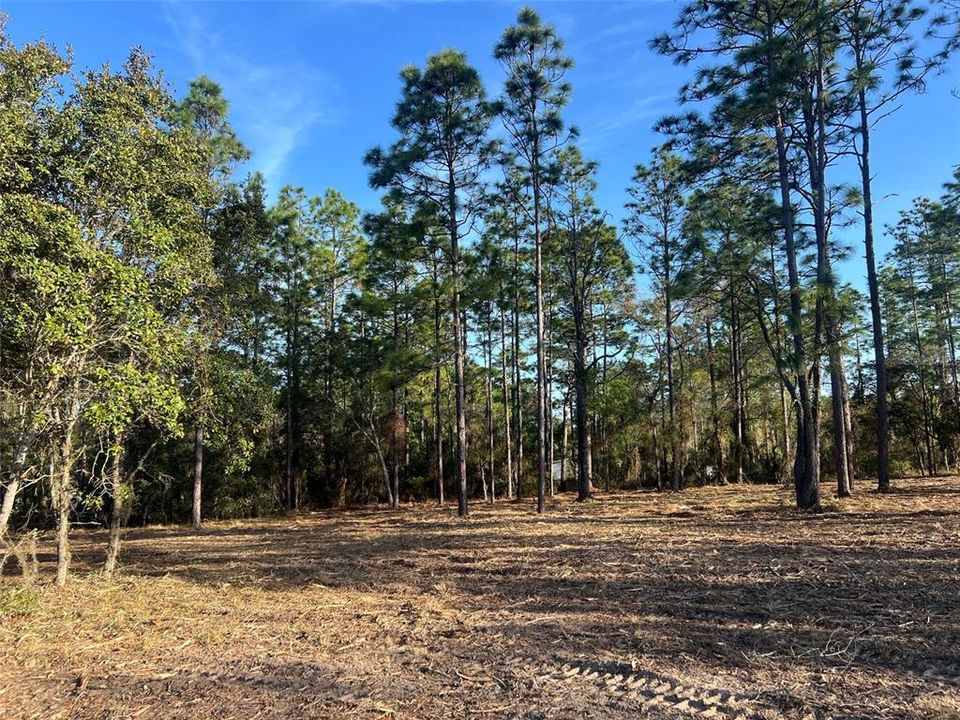 待售: $82,500 (2.00 acres)