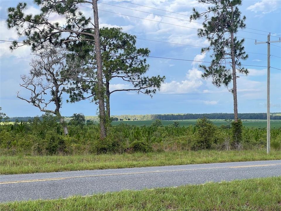 待售: $82,500 (2.00 acres)