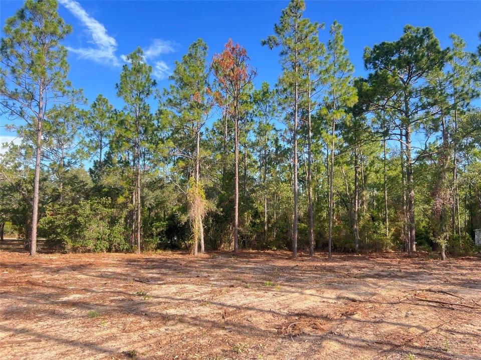待售: $82,500 (2.00 acres)