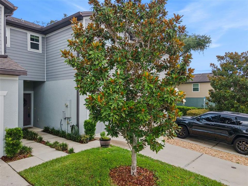 For Sale: $279,900 (2 beds, 2 baths, 1588 Square Feet)