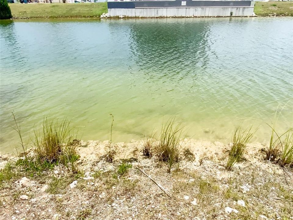 待售: $64,900 (0.17 acres)