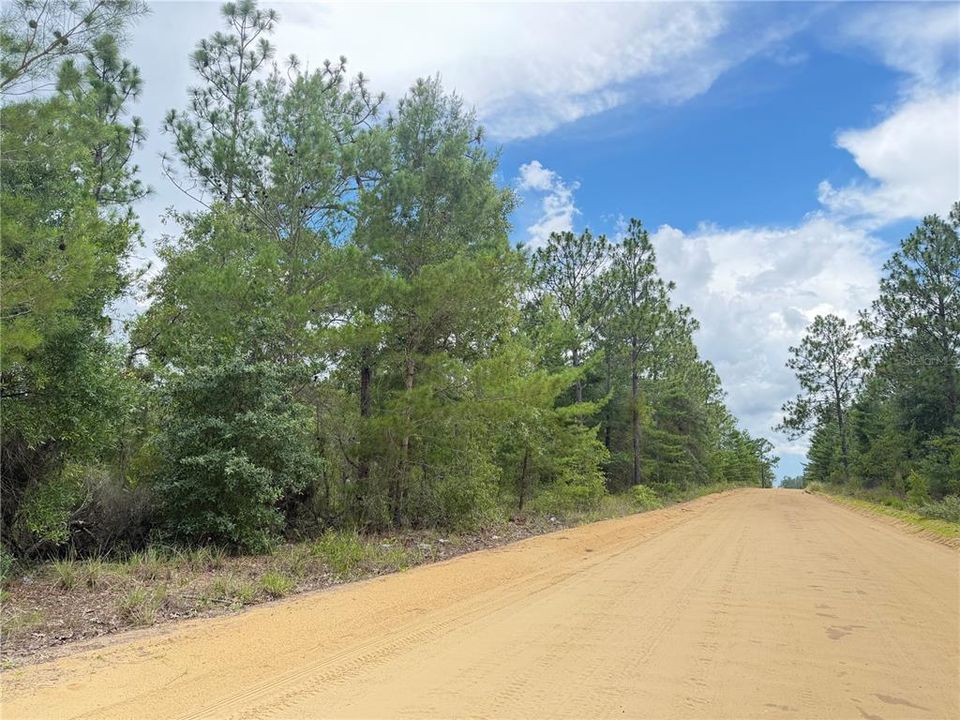 For Sale: $375,000 (0.10 acres)