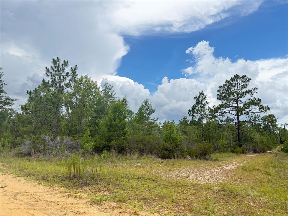 For Sale: $375,000 (0.10 acres)