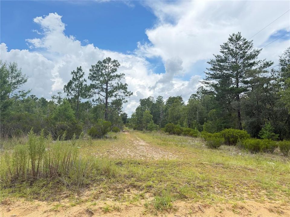 For Sale: $375,000 (0.10 acres)