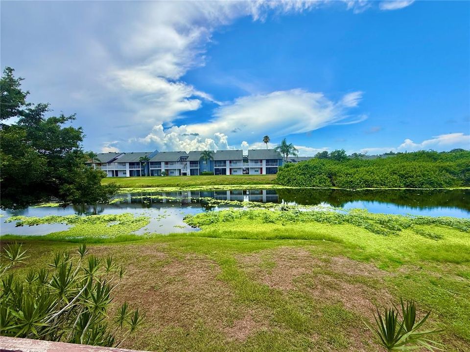 For Rent: $1,500 (2 beds, 1 baths, 912 Square Feet)