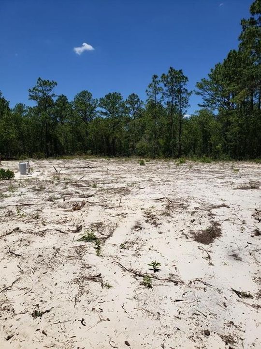 На продажу: $80,000 (1.16 acres)