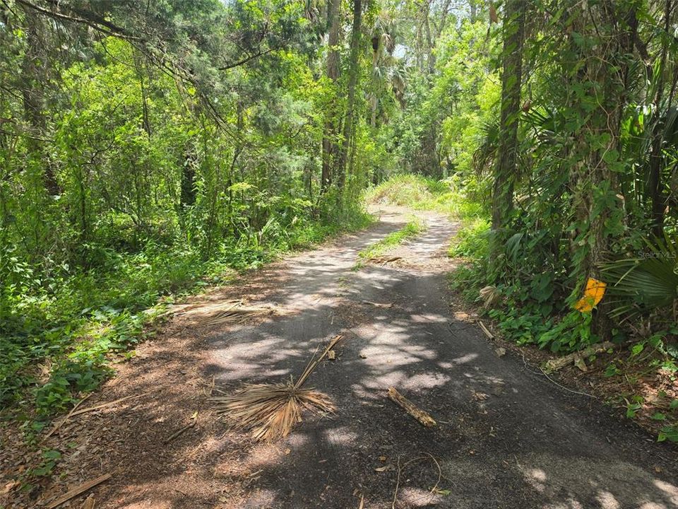Под контрактом: $389,900 (5.32 acres)