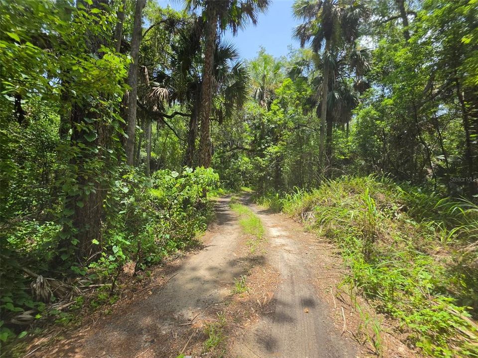 Под контрактом: $389,900 (5.32 acres)