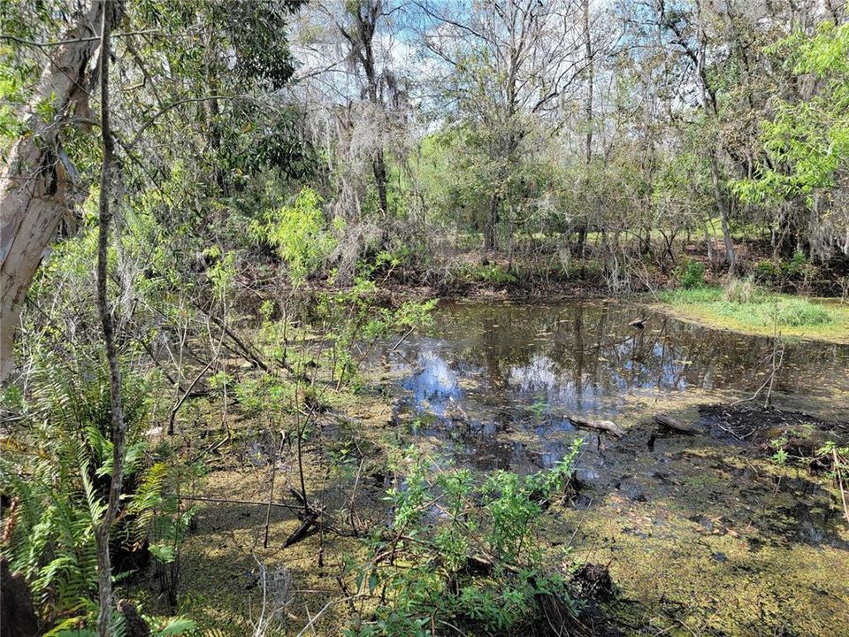 На продажу: $150,000 (1.00 acres)