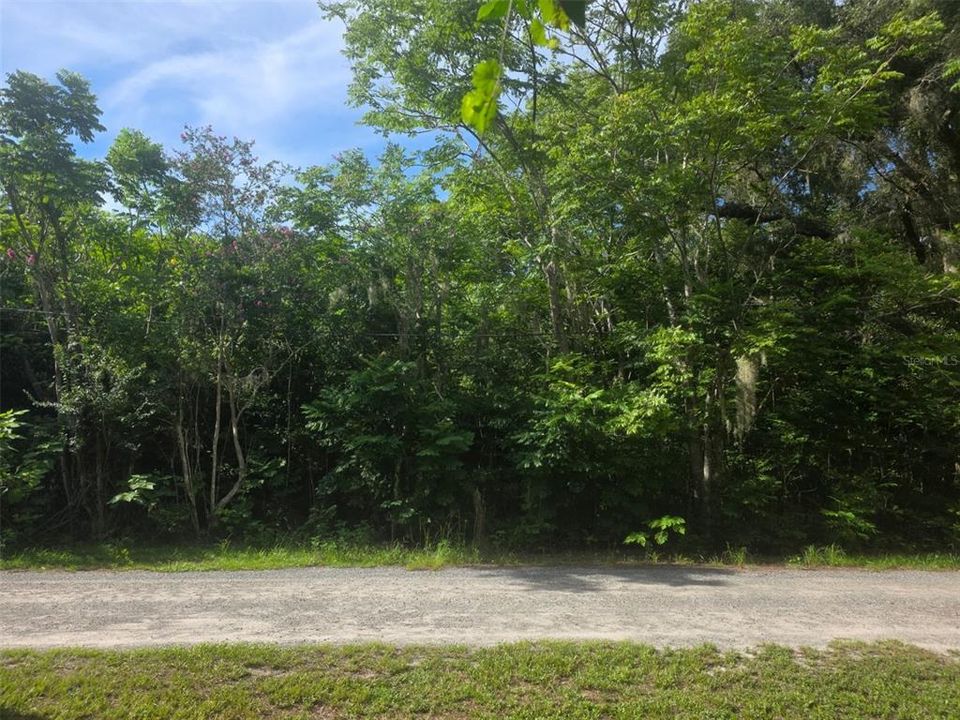 合同活跃: $325,000 (7.36 acres)