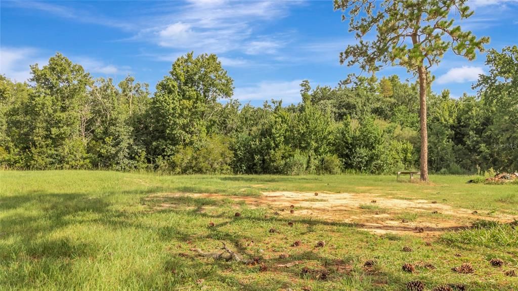 For Sale: $299,999 (7.33 acres)