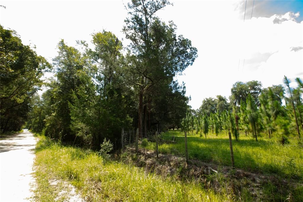 For Sale: $75,000 (4.72 acres)