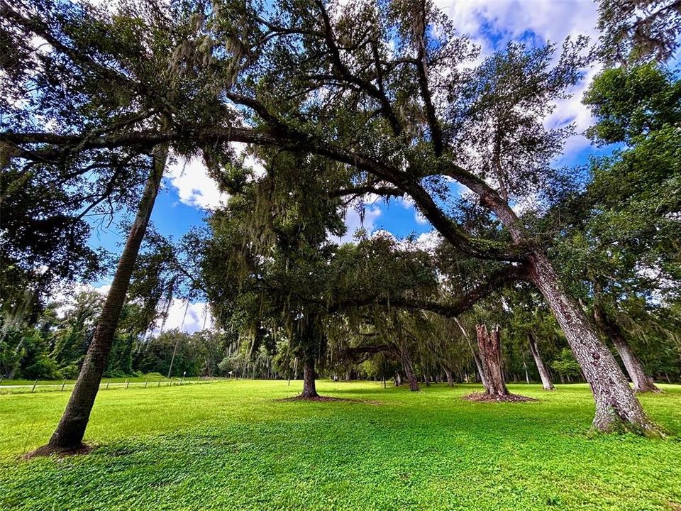 For Sale: $539,000 (3 beds, 1 baths, 1782 Square Feet)