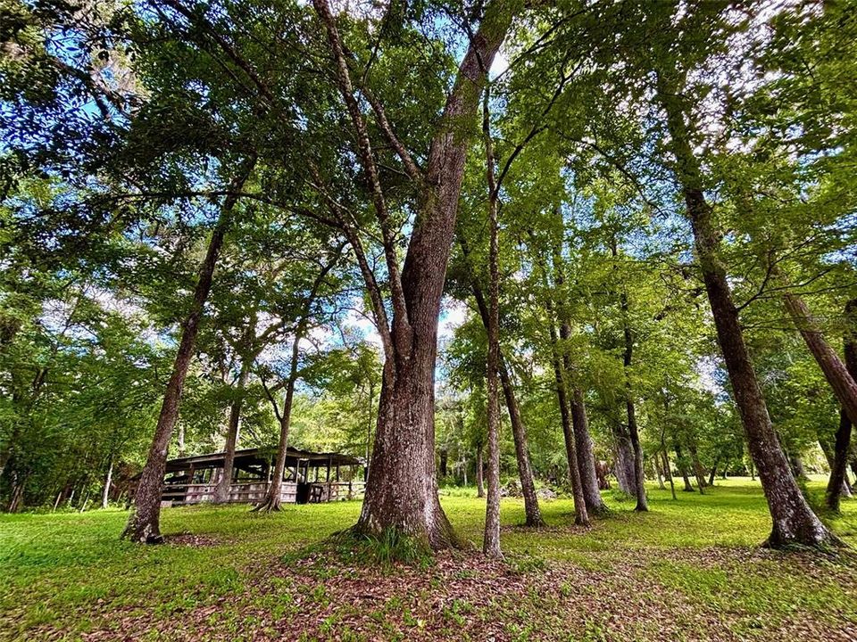 For Sale: $539,000 (3 beds, 1 baths, 1782 Square Feet)