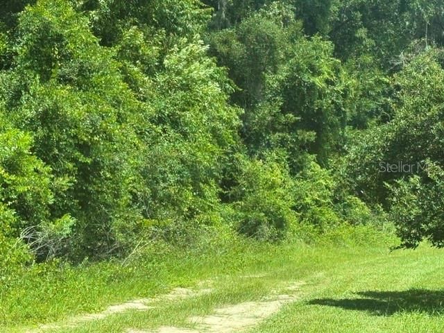 На продажу: $985,000 (9.00 acres)