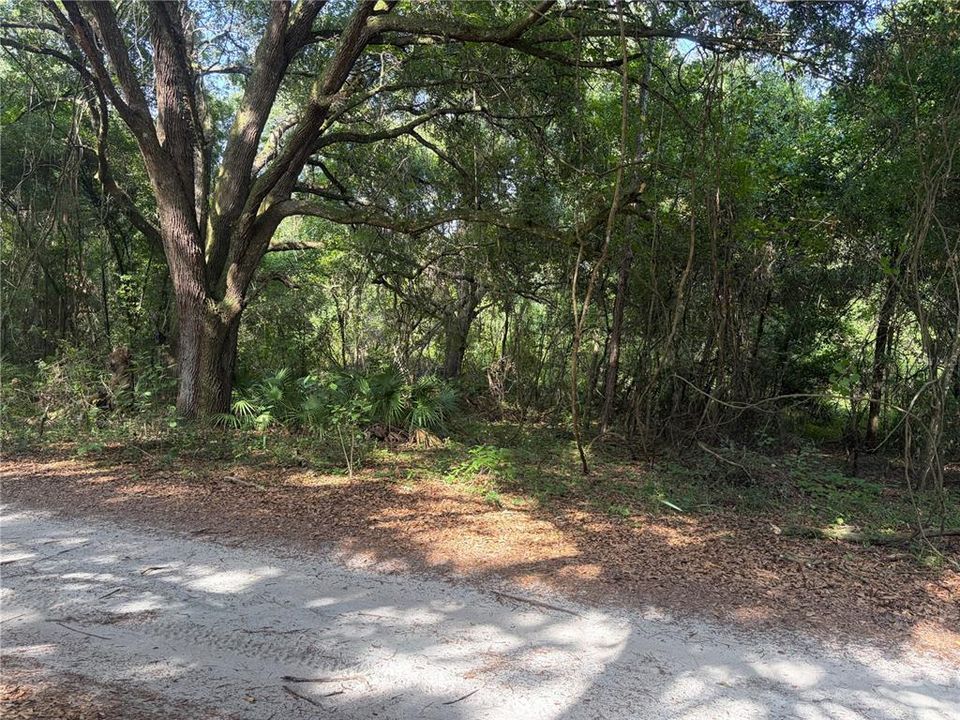 En Venta: $412,750 (12.70 acres)