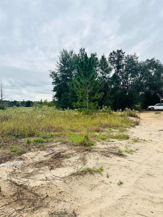 For Sale: $24,000 (0.23 acres)