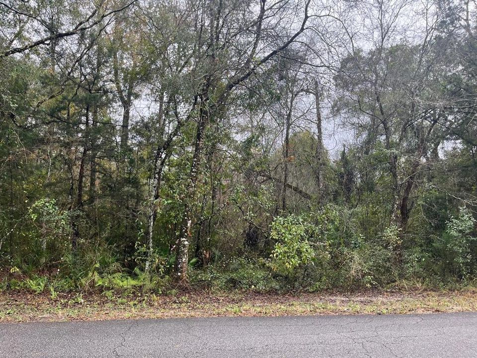 待售: $25,000 (0.24 acres)