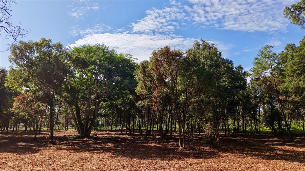 待售: $799,000 (9.63 acres)