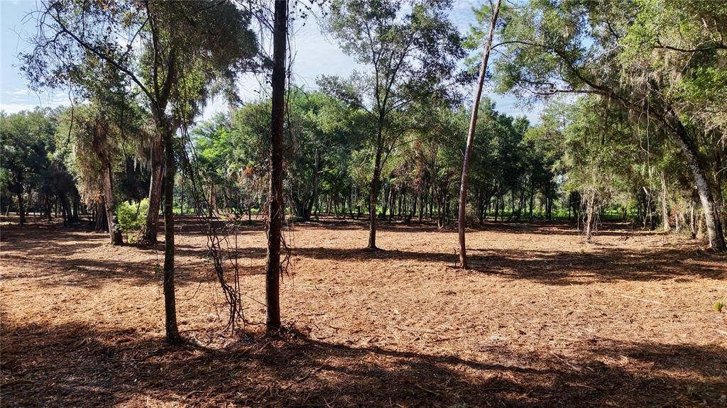 待售: $799,000 (9.63 acres)