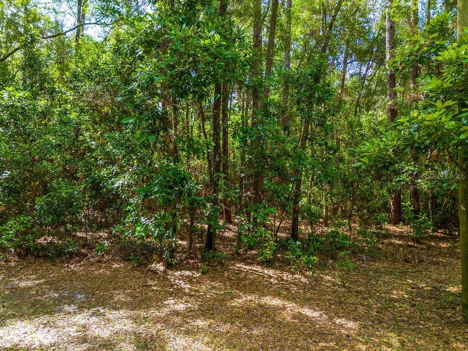 En Venta: $399,000 (3 camas, 2 baños, 1500 Pies cuadrados)