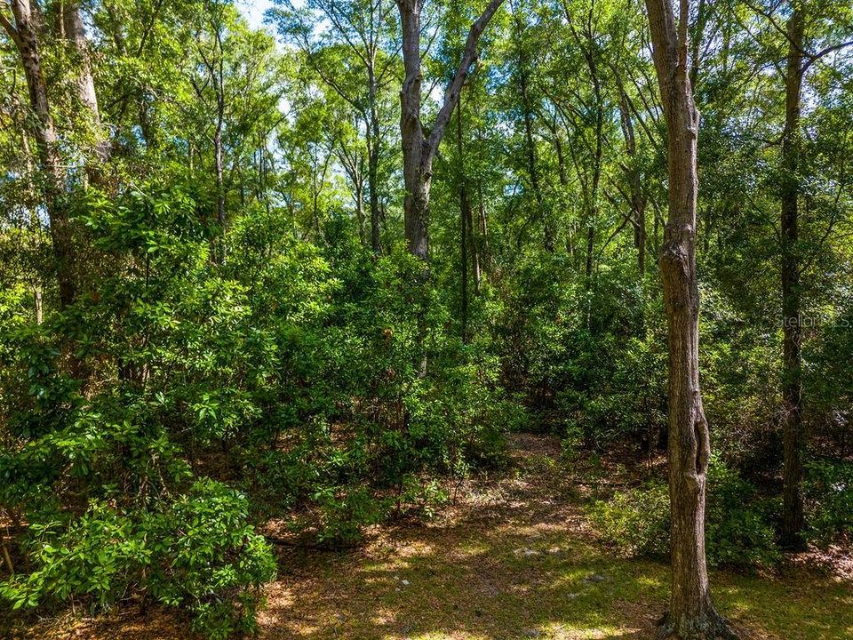 En Venta: $399,000 (3 camas, 2 baños, 1500 Pies cuadrados)