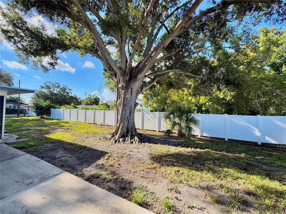 For Rent: $1,795 (2 beds, 1 baths, 808 Square Feet)